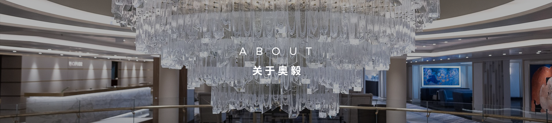 公司简介