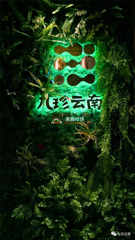 304am永利集团
工程案例 | 九珍云南音乐餐吧